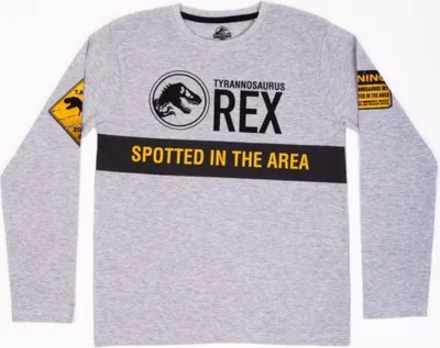 Produktbild von Jurassic World Langarm-T-Shirt für Jungen | "T-REX"-Motiv | 100% Baumwolle, grau,152
