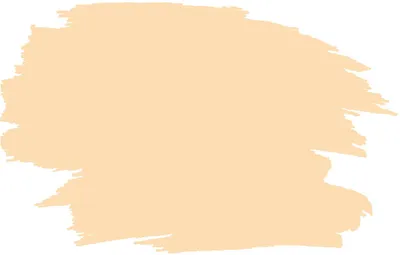 Produktbild von RyFo Colors Seidenlatex Trend Weißtöne Apricot 10l - bunte Innenfarbe, weitere Weiß Farbtöne und Größen erhältlich