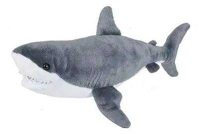 A plush toy shark against a white background.
