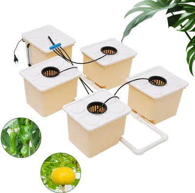 Image de 5 tasses Système hydroponique de plantes Jardin Kit de multiplication aéroponique Système d'irrigation haute production Système de nutrition 11L