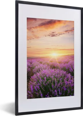 Produktbild von MuchoWow® Gerahmtes Poster Lavendel - Sonne - Blumen 40x60 cm - Poster mit Schwarzem Bilderrahmen Wandposter Rahmen Foto Bilder - Poster in Rahmen