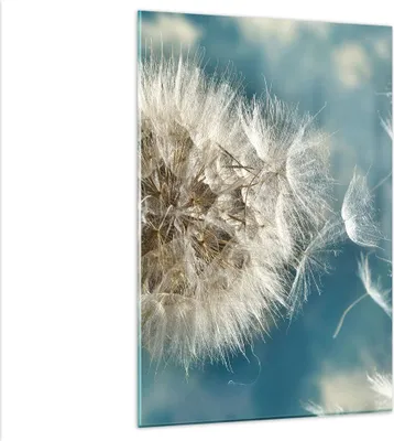 Produktbild von Bilder auf glas - Einteilig - Baby Sommer Pflanze - 80x120cm - Glasbilder - Wandbilder - Bilder - zum Aufhängen bereit - Wanddekoration aus Glas - Glas Bilder - Wandbild auf Glas - GPA80x120-3567