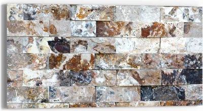 Produktbild von DEQORI Glasbild Echtglas 60x30 cm 'Natürliche Vielfalt' Wandbild Bild modern Deko