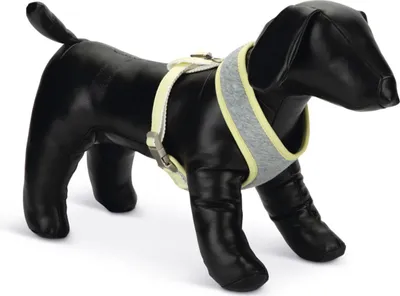 Produktbild von Beeztees Welpe Bronda - Hundegeschirr - grau - M