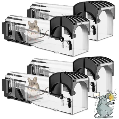 Image de Piège à souris respectueux des animaux, piège à souris vivant, lot de 4 - Réutilisable