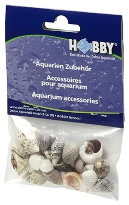 Productafbeelding van Hobby Decoratie zeeschelpen set S 20 stuks | natuurlijke schelpen voor aquarium, terrarium en hobby