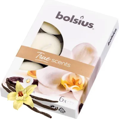 Obrázek produktu pro Bolsius 4hodinové vonné svíčky, vanilková vůně, 6 kusů