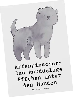 Produktbild von Mr. & Mrs. Panda Postkarte Affenpinscher Äffchen - Weiß - Geschenk, Postkarten, Grußkarte, Ansichtskarte, bildkarte, Fotokarte, Hunderassen Eigenschaften, Rattenfänger