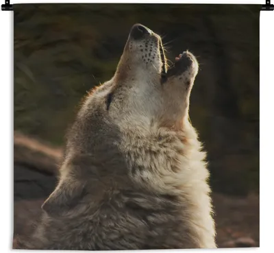 Produktbild von MuchoWow® Wandteppich Wandbehang Wolf - Grau - Tiere 60x60 cm Tapisserie Dekoration Wandtuch - Dekorationen - Wand Decke