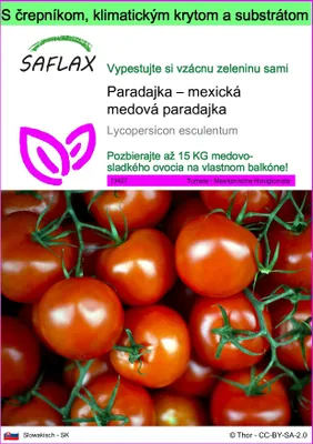 Obrázok produktu pre SAFLAX Garden to go - Paradajka – mexická medová paradajka - Lycopersicon esculentum - 10 Semená - S črepníkom, klimatickým vekom a pestovateľským substrátom
