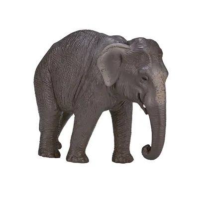 Obrázek produktu pro Mojo Fun Asian Elephant, 3 rok/roky, Wildlife, Šedá, Bílá, Polyvinylchlorid (PVC)