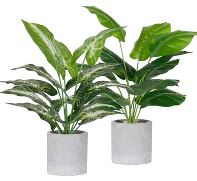 Productafbeelding van 2 kunstplanten – realistisch ogend – kunstplanten voor slaapkamer, badkamer, woonkamer en andere ruimtes