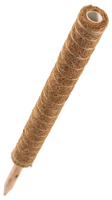 Produktbild von Pflanzenstütze - Kokosstab 60 cm - Rankhilfe Ø 4,5 cm - für Monstera und Kletterpflanzen