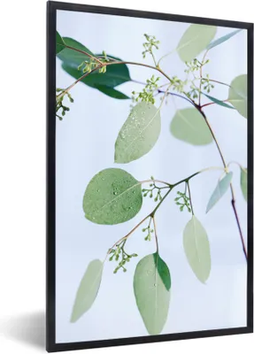 Produktbild von MuchoWow® Gerahmtes Poster Eukalyptuszweige mit Blättern 60x90 cm - Poster mit Schwarzem Bilderrahmen Wandposter Rahmen Foto Bilder - Kunst