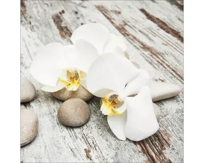 Produktbild von Glasbild White & Yellow Flowers IV 30x30 cm