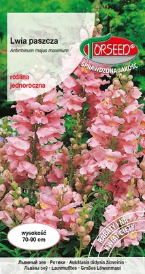 Produktbild von Rosa Löwenmäulchen-Samen 1g - Torseed