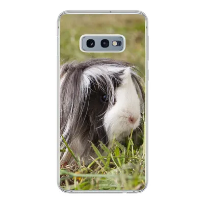 Produktbild von MuchoWow® Handyhülle Schutzhülle Hülle für Samsung Galaxy S10e Langhaar-Meerschweinchen Silikon Softcase Handy Hülle - Handy
