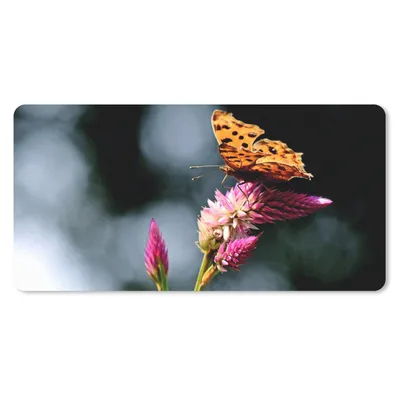 Produktbild von MuchoWow® Schreibtischunterlage Schmetterling - Blumen - Insekten 80x40 cm - XXL Mauspad - Gaming Mauspad