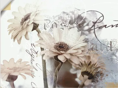 Produktbild von ARTland Wandbild, selbstklebend Gerberas_Detail Größe: 80x60 cm