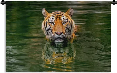 Produktbild von MuchoWow® Wandteppich Wandbehang Tiger im Wasser 150x100 cm Tapisserie Dekoration Wandtuch - Waschbar - Tapisserien - Wand-Decke