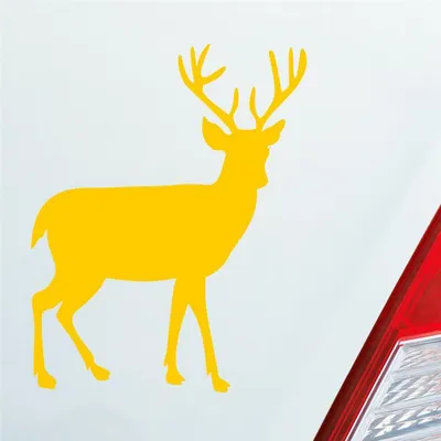 Produktbild von Auto Aufkleber Hirsch Reh Bock Deer Wild Jagd Wald Jäger KFZ Car 9,5x12 cm Gelb Sticker Heckscheibenaufkleber