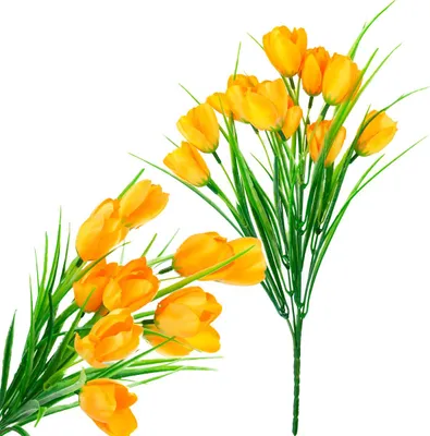 Image de Tulipes Fleurs Jaunes En Bouquet Décoration Tulipes