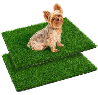 Image de Caisse de toilettage pour chiots avec tapis d'herbe amovibles, lot de 2