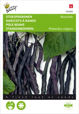 Produktbild von Stangenbohnen Blauhilde | Stangenbohnensamen von Buzzy Seeds