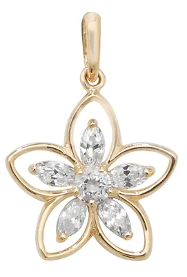 Image de Pendentif Femme Or 375/1000 avec Oxyde de Zirconium - 21mm*15mm; TRS10784