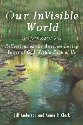 Produktbild von Our Invisible World