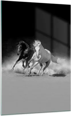 Produktbild von Bilder auf glas - Einteilig - Andalusier Pferde Galopp - 70x100cm - Glasbilder - Wandbilder - Bilder - zum Aufhängen bereit - Wanddekoration aus Glas - Glas Bilder - Wandbild auf Glas - GPA70x100-4240