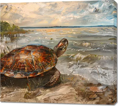 Produktbild von Bild 100x90cm Küstenschildkröte
