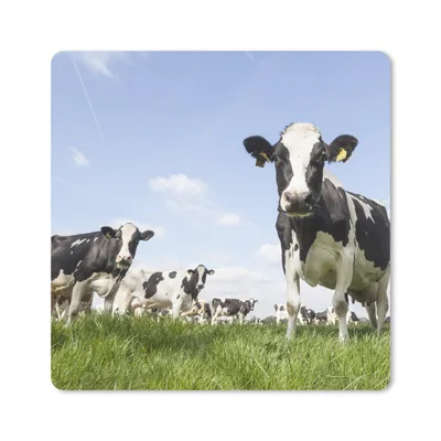 Produktbild von MuchoWow® Mauspad Mousepad Kühe - Gras - Tiere - Sonne - Bauernhof 20x20 cm - Mousepads - Maus Mat - Pad - Mausunterlage - Desk Mat - Bureauartikeln