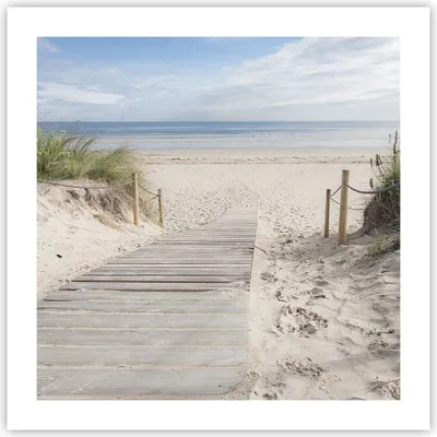 Produktbild von Poster - Poster ohne Rahmen - Strand Düne Eintritt - 50x50 cm - Wand Bild - Wanddeko - Wandbilder - Kunstposter - Wandposter - Bilder - Kunstdruck - Wanddekoration - Wandbild - P2XAC50x50-4188