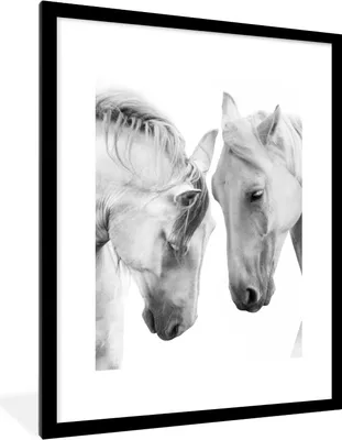 Produktbild von MuchoWow® Gerahmtes Poster Pferd - Tiere - Porträt - Weiß 60x80 cm - Poster mit Schwarzem Bilderrahmen Wandposter Rahmen Foto Bilder - Wohnzimmer - Dekorationen - Prämie