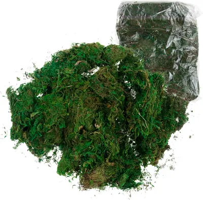 Immagine prodotto di Muschio decorativo (sfuso) - 1 kg verde scuro