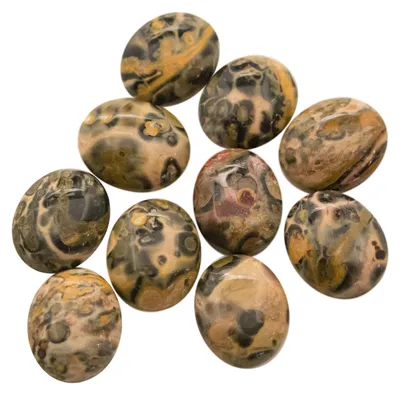 Produktbild von 10 Hochwertige Leopardskin Rhyolith Cabochons, 12 x 10 mm