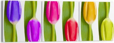 Produktbild von Bild auf Leinwand - Leinwandbild - Tulpe Blume Garten Komposition - 150x50cm - Wand Bild - Wanddeko - Leinwanddruck - Bilder - Kunstdruck - Wanddekoration - Leinwand bilder - Wandkunst - CA150x50-2360