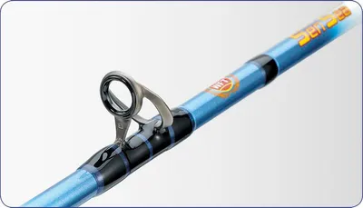 Produktbild von WFT SenSea 25lbs 2,10m 30-300g