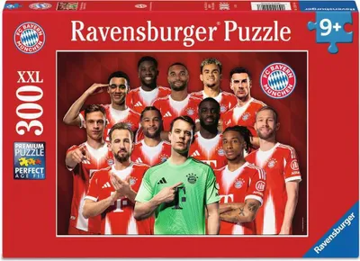 Obrázok produktu pre Ravensburger 12004146, 300 kusov, Športy, 9 rok / roky