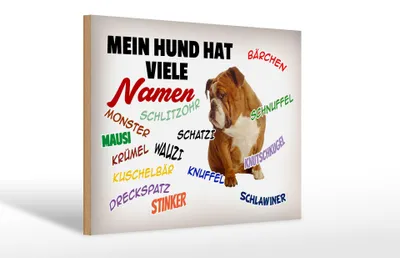 Produktbild von Holzschild Spruch 30x20cm mein Hund hat viele Namen