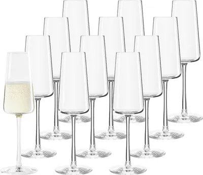 Produktbild von Stölzle Lausitz POWER Champagnerglas 240 ml 12er Set
