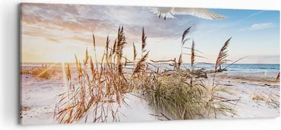 Produktbild von Bild auf Leinwand - Leinwandbild - Einteilig - Möwe Meer Küste - 120x50cm - Wand Bild - Wanddeko - Wandbilder - Leinwanddruck - Bilder - Wanddekoration - Leinwand bilder - Wandbild - AB120x50-4902
