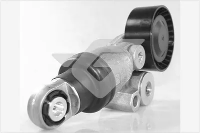 Obrázok produktu pre Napínací ramienko, remenica HUTCHINSON T0546