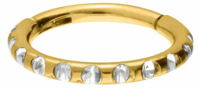 Produktbild von Ohrpiercing, Nasenpiercing, Septum Piercing Titan Segmentring Clicker KRISTALLE + EPOXY Gold Innendurchmesser: 8mm + Stabstärke: 1mm