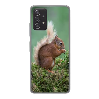 Produktbild von MuchoWow® Handyhülle Schutzhülle Hülle für Samsung Galaxy A33 5G Eichhörnchen - Wald - Moos Silikon Softcase Handy Hülle - Kartenhalter