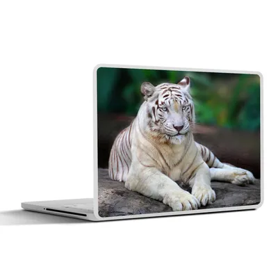 Produktbild von MuchoWow® Laptop Aufkleber Sticker Cover Weißer Tiger - Baumstamm - Wald 36.5x27.5 cm - Laptop-Sticker