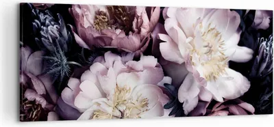 Produktbild von Bild auf Leinwand - Leinwandbild - Einteilig - Pfingstrosen Veilchen Blumen - 120x50cm - Wand Bild - Wanddeko - Wandbilder - Leinwanddruck - Bilder - Wanddekoration - Leinwand bilder - AB120x50-5076