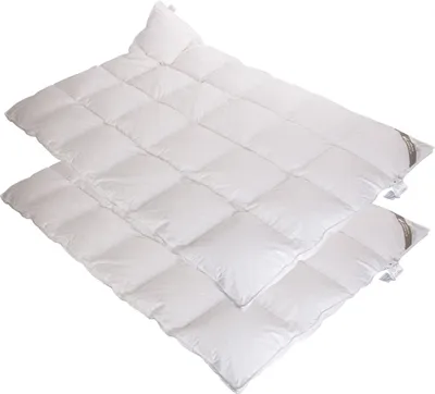 Produktbild von 2 Stück Betten Hofmann Belladream Daunendecken Daunenbetten 4x6 155x220 cm 100% Daunen Außensteg