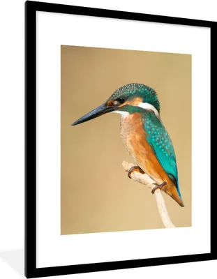Produktbild von MuchoWow® Gerahmtes Poster Eisvogel - Tiere - Vogel 60x80 cm - Poster mit Schwarzem Bilderrahmen Wandposter Rahmen Foto Bilder - Wohnzimmer - Dekorationen - Prämie